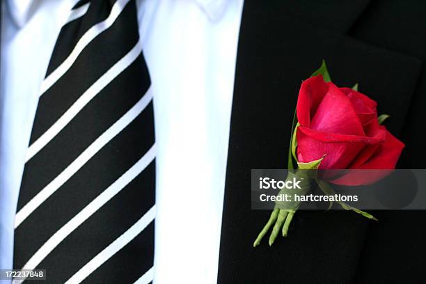 Angezogen Und Bereit Stockfoto und mehr Bilder von Rose - Rose, Blume im Knopfloch, Smoking