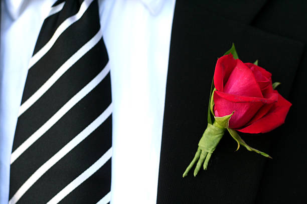 dressed and ready... formal male attire and boutonniere buttonhole flower stock pictures, royalty-free photos & images