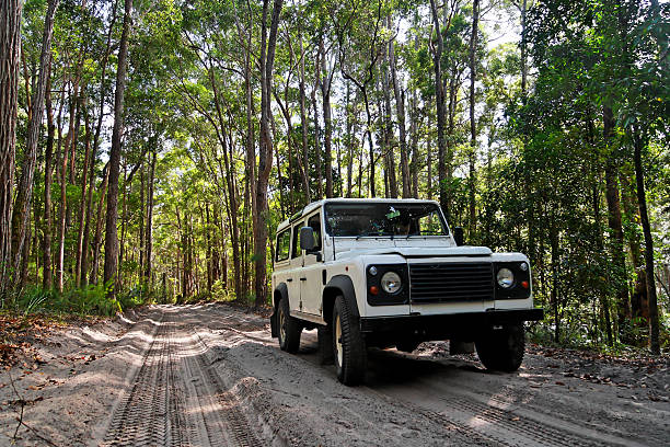 istock A 4WD vehicle on Fraser Island, Australia 172238025