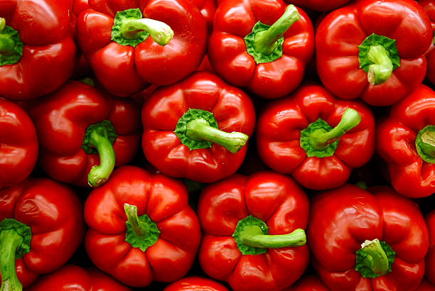 food to increase immunity food to increase immunity