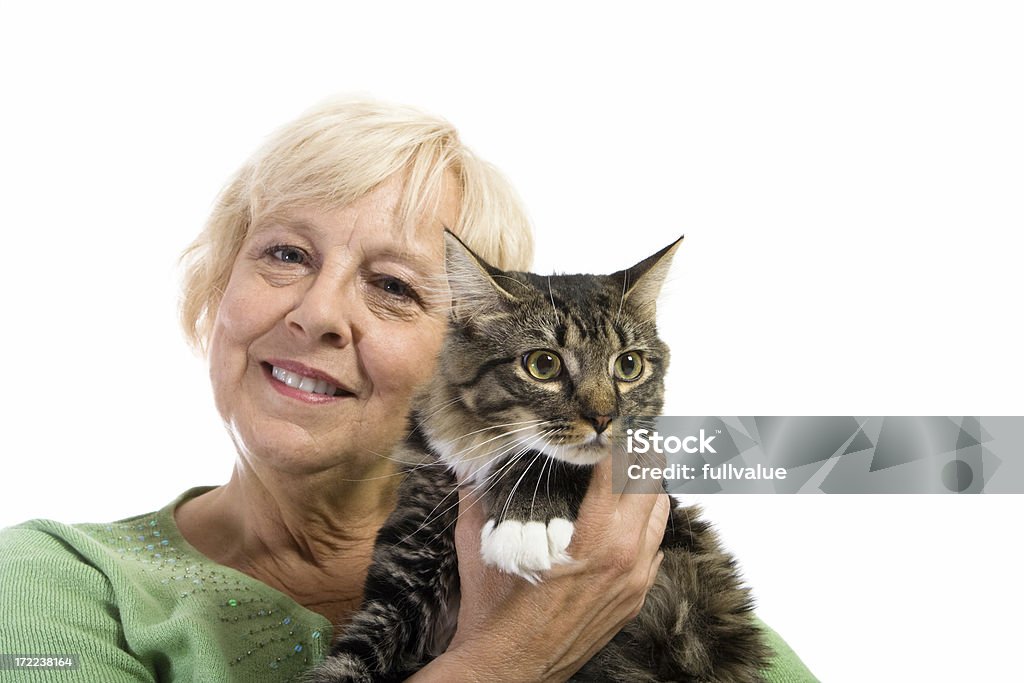 Mujer agarrando cat - Foto de stock de Gato doméstico libre de derechos