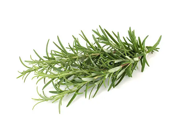 a bunch of rosemary on a white backgroundSome of my pictures of herbs & spices: