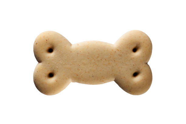 istock Top view of single brown bone shaped dog biscuit isolated on white background. 1722384937