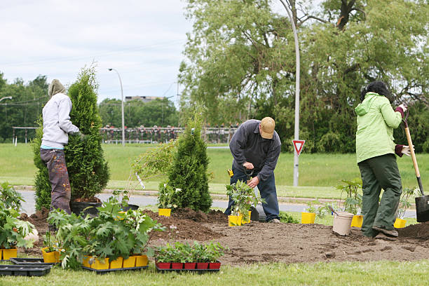 primavera de plantio - gardening shovel digging flower bed - fotografias e filmes do acervo