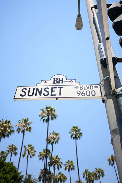 istock Sunset Blvd Road Sign With Palm Trees In The Background 172238541