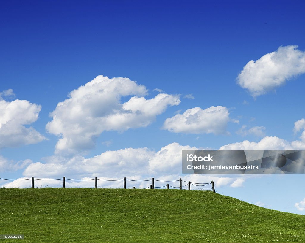 Cielo azul y nubes blancas, verde hierba - Foto de stock de Agricultura libre de derechos