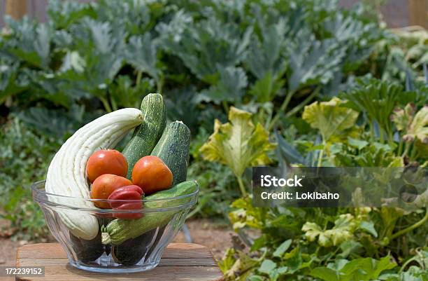 Garden Vegetable Bowl Stock Photo - Download Image Now - Bell Pepper, Bowl, Cucumber
