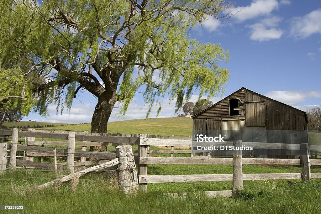 Derelict Barn - Foto de stock de Austrália royalty-free