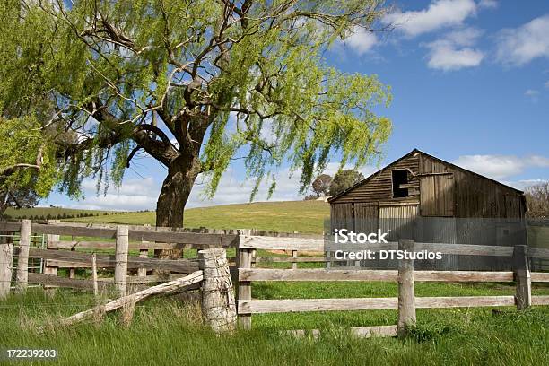 Foto de Derelict Barn e mais fotos de stock de Austrália - Austrália, Bendigo, Victoria - Austrália