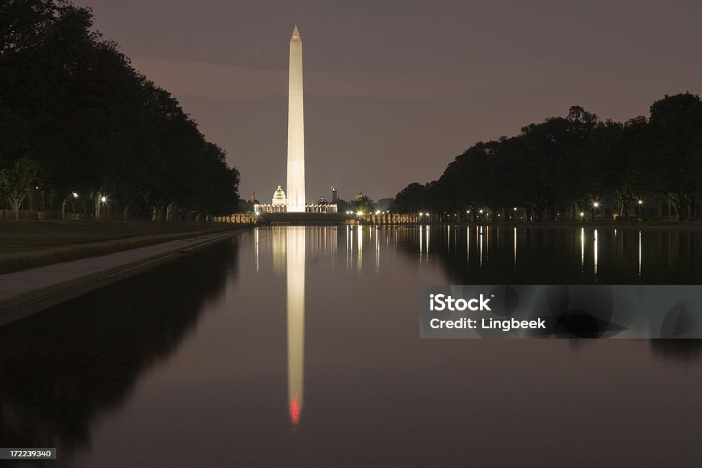 Reflejan la piscina por la noche - Foto de stock de Instituto Smithsoniano libre de derechos