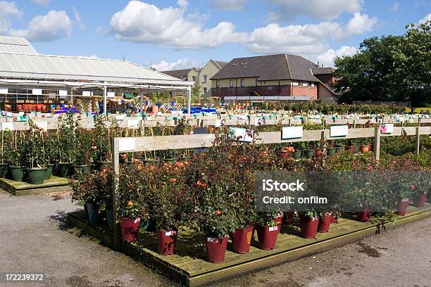 Garden Centre - Fotografie stock e altre immagini di Centro per il giardinaggio - Centro per il giardinaggio, Rosa - Fiore, Affari