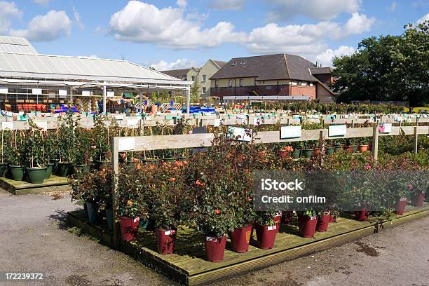 ガーデンセンター - 園芸店のストックフォトや画像を多数ご用意 - 園芸店, 植物 バラ, イギリス