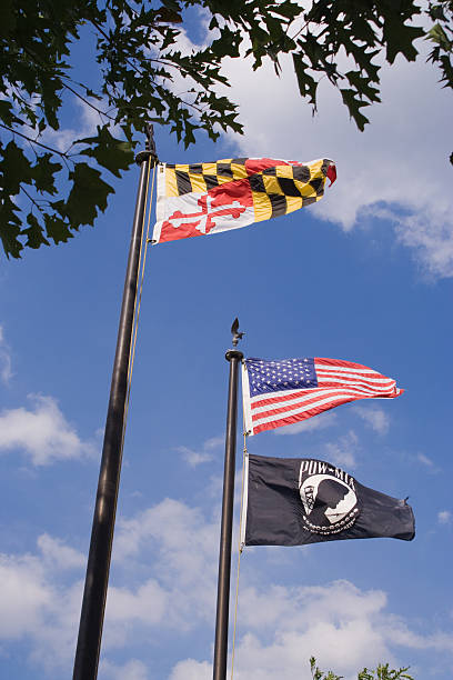 istock State Flag of Maryland 172239497