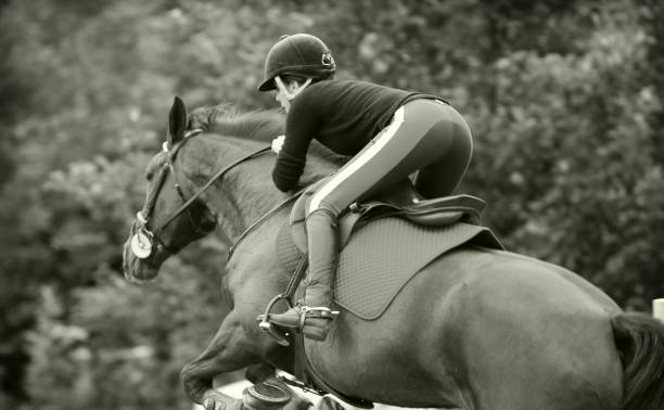 istock Training Show jumping in sepia 172239762