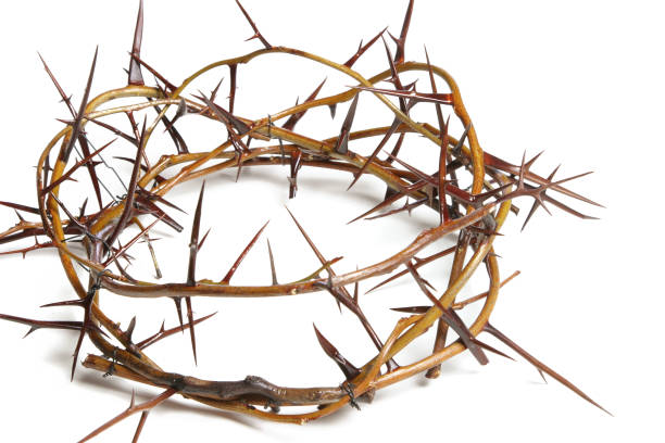 istock Bible Series Crown of Thorns 172239777