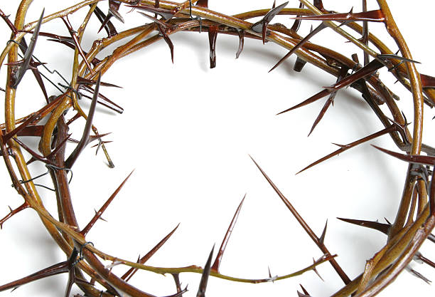 istock Bible Series Crown of Thorns 172239784