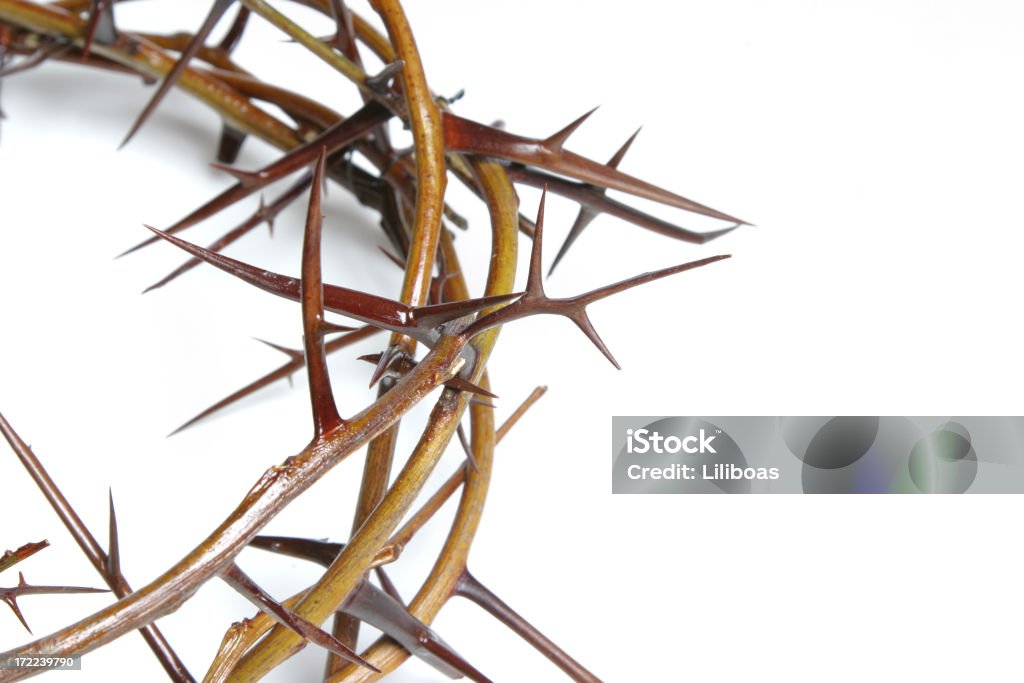 Biblia Series Crown de Thorns (con copyspace - Foto de stock de Afilado libre de derechos