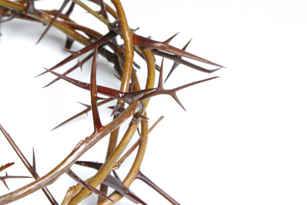istock Bible Series Crown of Thorns (with copyspace) 172239790
