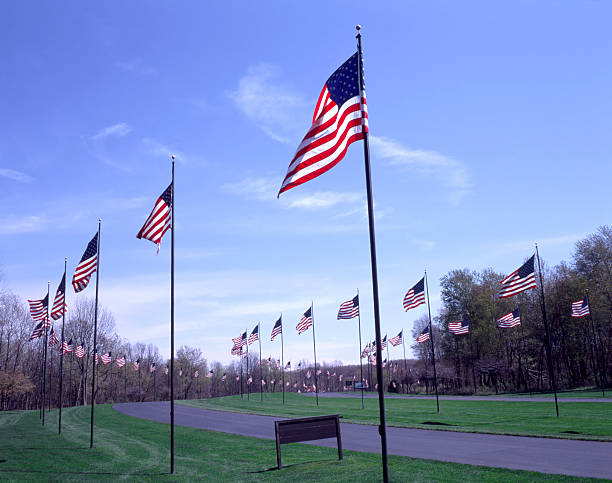 Fort Custer Flags II "US flags line the entrance to Fort Custer National Cemetery, Augusta, Michigan." national cemetery stock pictures, royalty-free photos & images