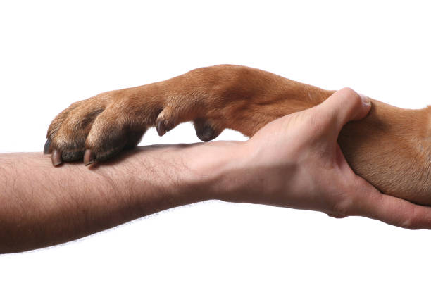 istock Sign of friendship 172240471