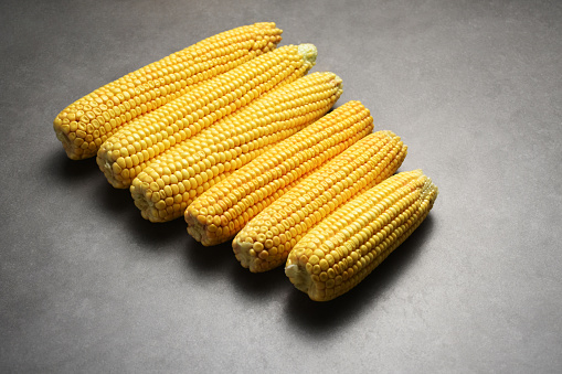 Fresh sweetcorn on gray concrete background with copy space