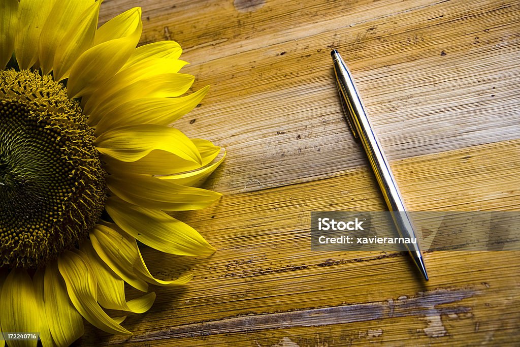 Pen and sunflower. Empty Stock Photo