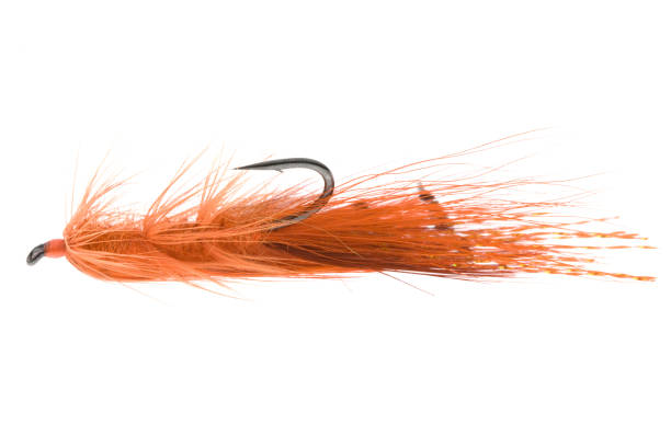 istock Fly Fishing Lure 172240729