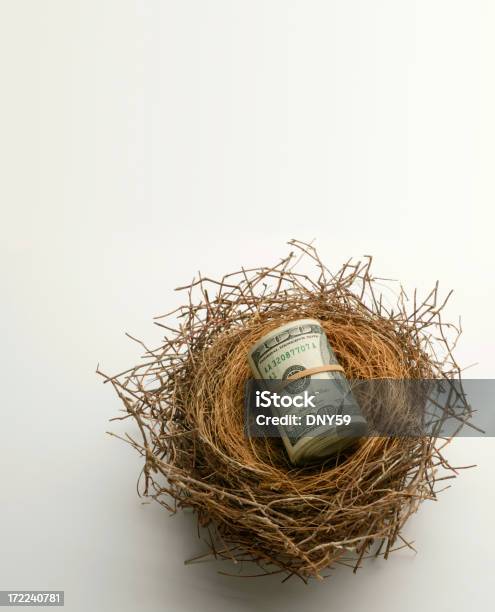 Reforma Nest Egg - Fotografias de stock e mais imagens de Espaço para Texto - Espaço para Texto, Fotografia - Imagem, Fundo Branco
