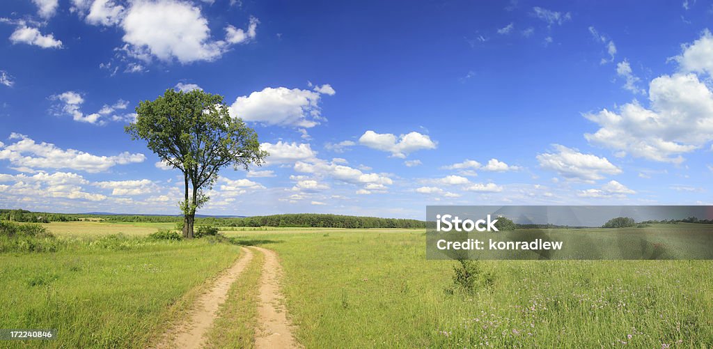Verde paisaje de campo-road - Foto de stock de Agricultura libre de derechos
