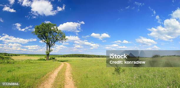 Verde Paisaje De Camporoad Foto de stock y más banco de imágenes de Agricultura - Agricultura, Aire libre, Ajardinado