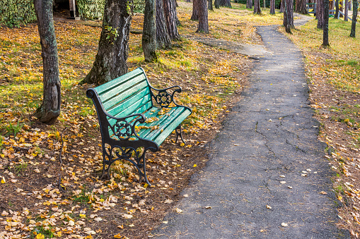 An empty bench near the path in the autumn old city park