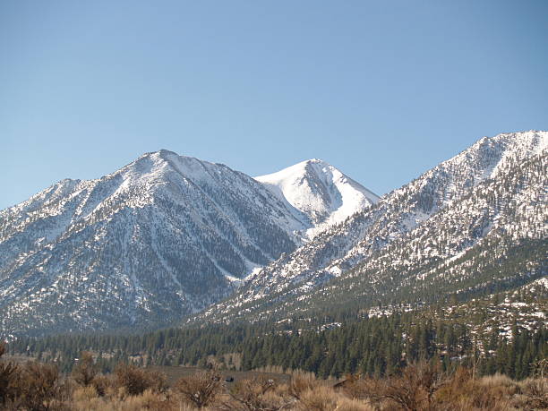 istock Sierria Mountain Vista Forest Scene 172241298