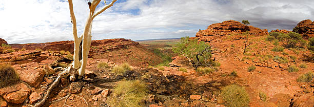 parque nacional kings canyon panorama xxl - watarrka national park - fotografias e filmes do acervo