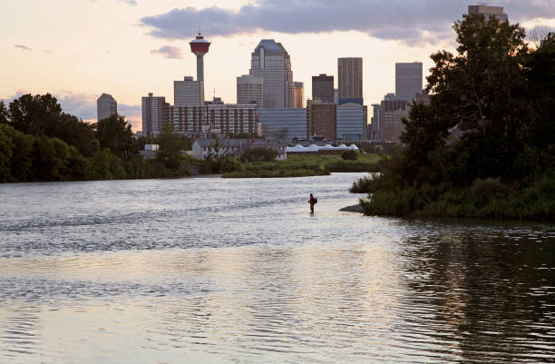 Fishing In The City At Dusk Quiet in the city. Calgary skyline and the Bow River. Man Fishing. Summer in July bow river stock pictures, royalty-free photos & images