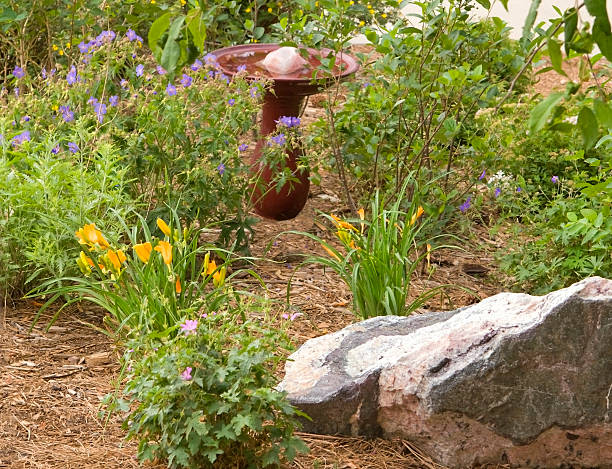 Starling family bathing in bird bath in garden