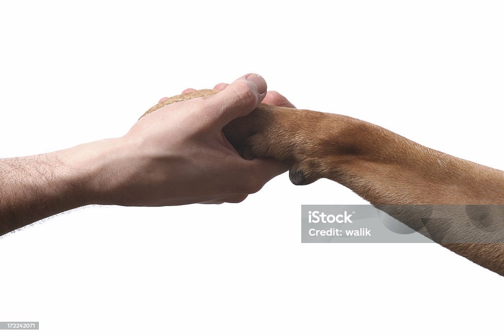 Estrechar las manos - Foto de stock de Almohadillas - Pata de animal libre de derechos