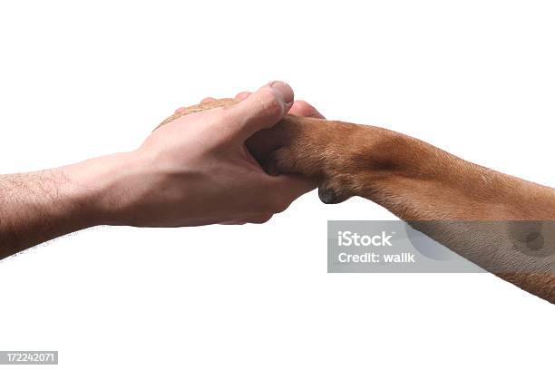 Estrechar Las Manos Foto de stock y más banco de imágenes de Almohadillas - Pata de animal - Almohadillas - Pata de animal, Perro, Estrechar las manos