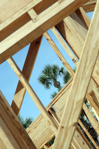 lumber строительные framed palm tree - contracting repairing residential structure vertical стоковые фото и изображения