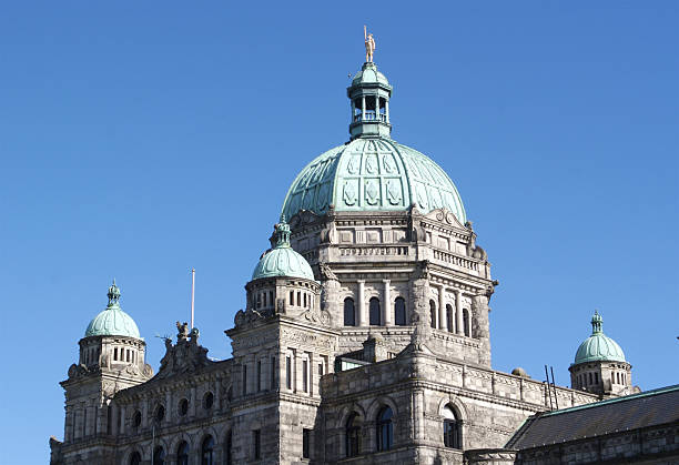 Copper Colored Domes of Parliament Building stock photo