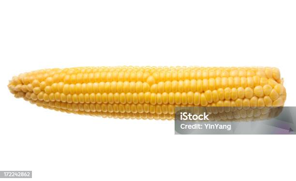 Kolba Kukurydzy Kukurydza Cukrowa Uprawy Warzyw Na Białym Tle - zdjęcia stockowe i więcej obrazów Bez ludzi