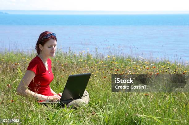 Woman Working On Laptop Outdoors In Field Stock Photo - Download Image Now - 20-29 Years, Adult, Adults Only