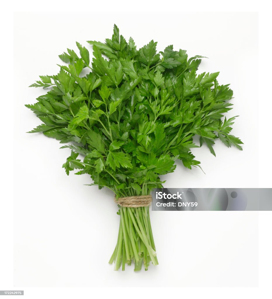 Italian Parsley A bunch of Italian parsley on white with soft shadow. Parsley Stock Photo