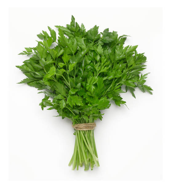Italian Parsley A bunch of Italian parsley on white with soft shadow. parsley stock pictures, royalty-free photos & images
