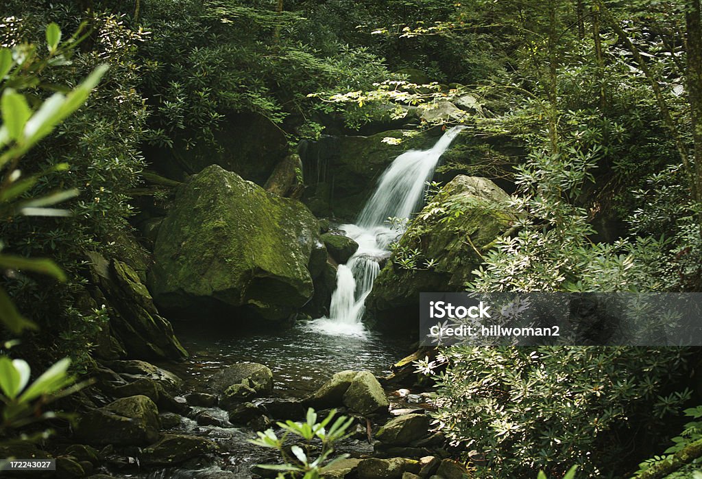 cascata - Foto stock royalty-free di Ambientazione esterna
