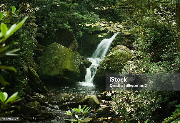 Cascata - Fotografie stock e altre immagini di Ambientazione esterna - Ambientazione esterna, Appalachia, Cascata