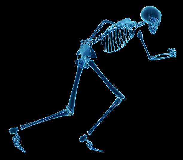 istock X-ray of human skeleton, running 172243407