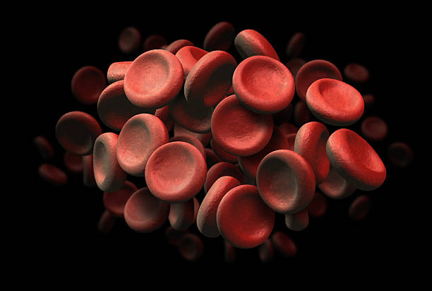 high quality 3D render of red blood cells stock photo