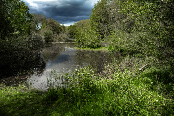 istock Moment of nature 1722438769