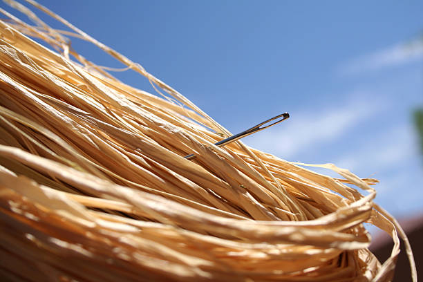 close up of a needle in haystack