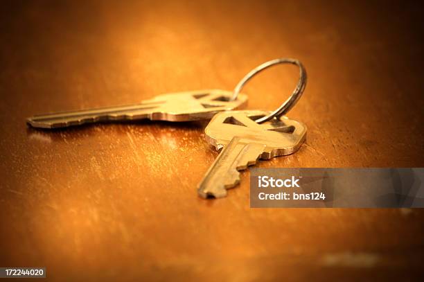 Haus Schlüssel Stockfoto und mehr Bilder von Der Schlüssel zum Erfolg - Der Schlüssel zum Erfolg, Fotografie, Geschäftsleben